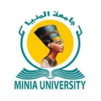 The International University of Minya